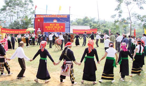 Unity enhances national development - ảnh 1